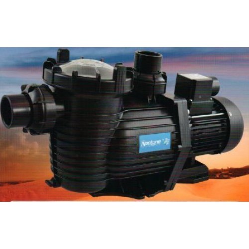 Neptune Pool Pump 1.0 hp